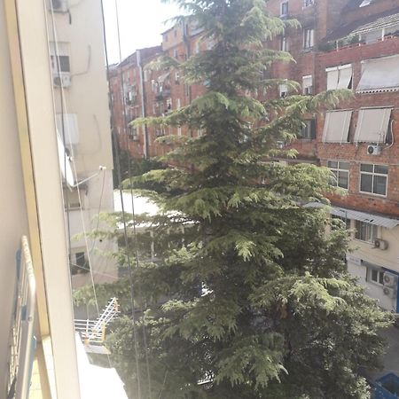 Jolie Center Apartment Тирана Экстерьер фото