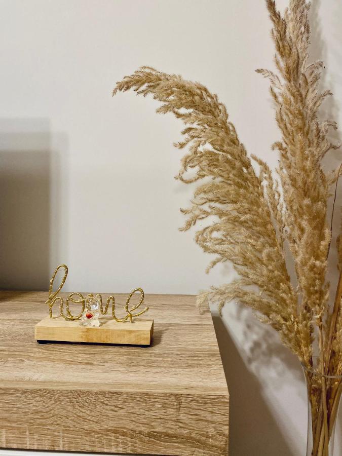 Jolie Center Apartment Тирана Экстерьер фото